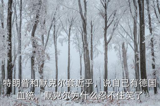 特朗普和默克爾套近乎，說(shuō)自己有德國(guó)血統(tǒng)，默克爾為什么忍不住笑了