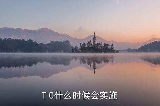 a股t0什么時(shí)候?qū)嵤?A股實(shí)施T 0
