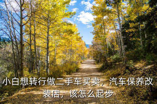 小白想轉(zhuǎn)行做二手車買賣，汽車保養(yǎng)改裝店，該怎么起步