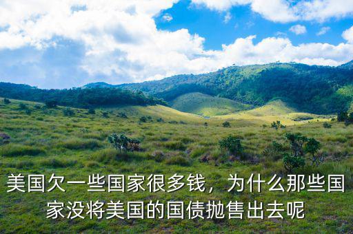 美國欠一些國家很多錢，為什么那些國家沒將美國的國債拋售出去呢
