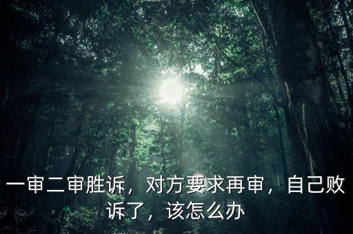 一審二審勝訴，對(duì)方要求再審，自己敗訴了，該怎么辦