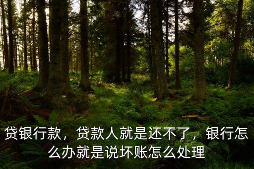 貸銀行款，貸款人就是還不了，銀行怎么辦就是說壞賬怎么處理