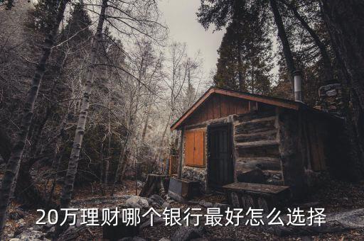 20萬怎么樣理財,手上有20萬閑錢