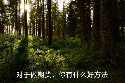 對于做期貨，你有什么好方法