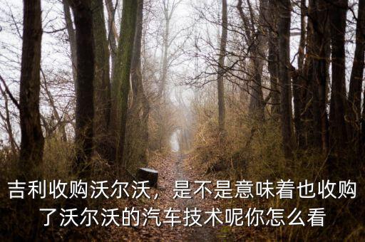 吉利為什么會(huì)收購沃爾沃,吉利收購沃爾沃