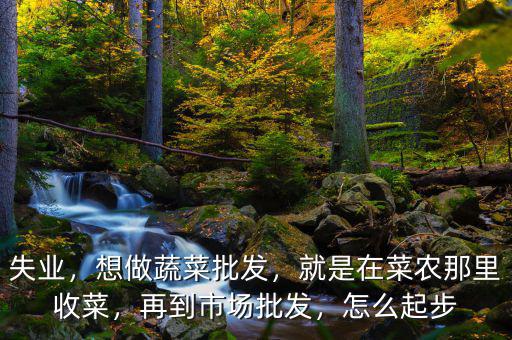 失業(yè)，想做蔬菜批發(fā)，就是在菜農(nóng)那里收菜，再到市場(chǎng)批發(fā)，怎么起步