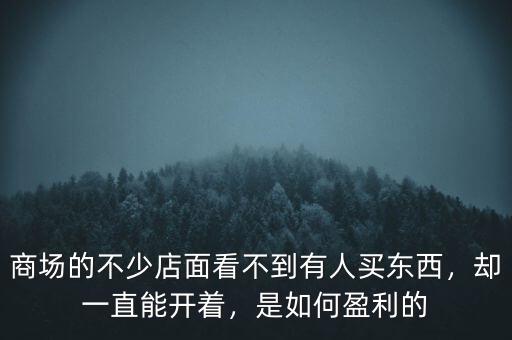 商場的不少店面看不到有人買東西，卻一直能開著，是如何盈利的
