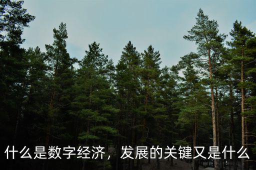 什么是數(shù)字經(jīng)濟(jì)，發(fā)展的關(guān)鍵又是什么
