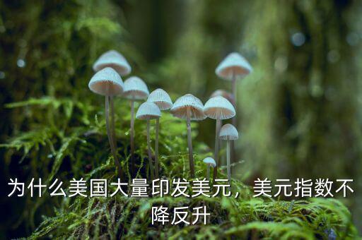為什么美國(guó)大量印發(fā)美元，美元指數(shù)不降反升