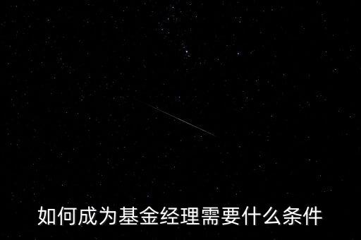 基金公司渠道經理需要什么,需要什么條件