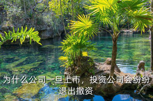 為什么公司一旦上市，投資公司會紛紛退出撤資