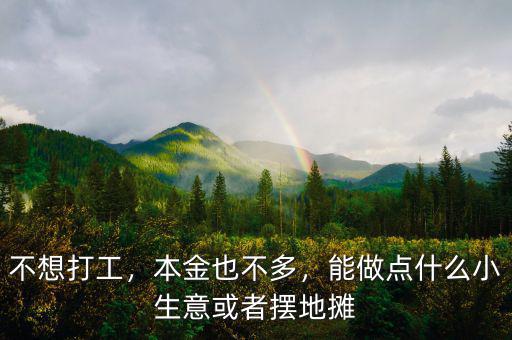 不想打工，本金也不多，能做點(diǎn)什么小生意或者擺地?cái)? class=