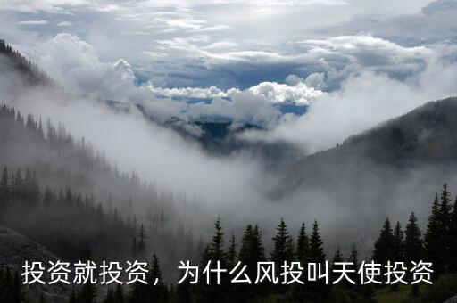 投資就投資，為什么風(fēng)投叫天使投資