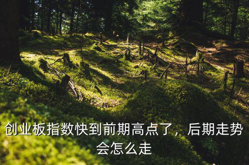 創(chuàng)業(yè)板指數(shù)快到前期高點(diǎn)了，后期走勢(shì)會(huì)怎么走