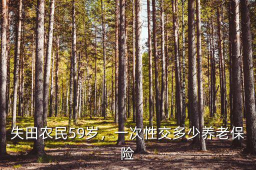 失田農民59歲，一次性交多少養(yǎng)老保險