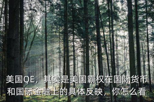 美國QE，其實(shí)是美國霸權(quán)在國際貨幣和國際金融上的具體反映，你怎么看
