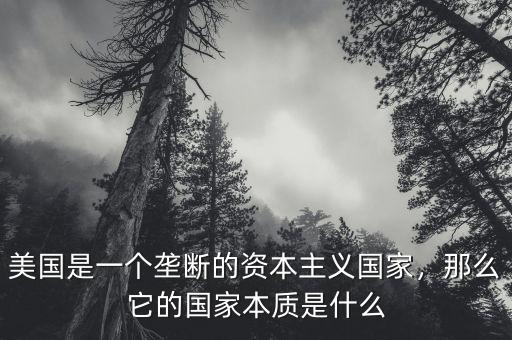 美國(guó)是一個(gè)壟斷的資本主義國(guó)家，那么它的國(guó)家本質(zhì)是什么