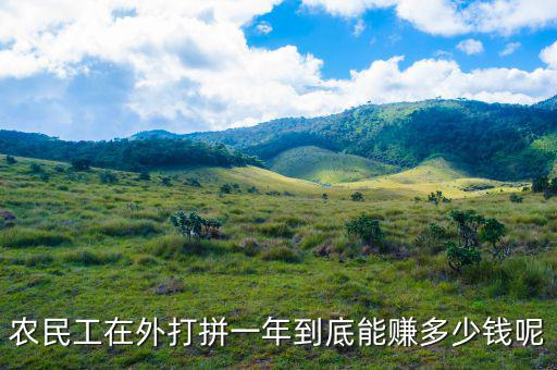 老干媽一年賺多少錢,一年能賺多少錢