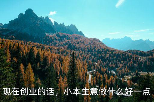 現在創(chuàng)業(yè)的話，小本生意做什么好一點
