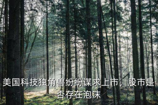 美國科技獨(dú)角獸紛紛謀求上市，股市是否存在泡沫