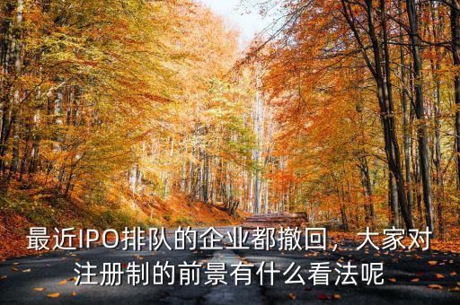 最近IPO排隊的企業(yè)都撤回，大家對注冊制的前景有什么看法呢