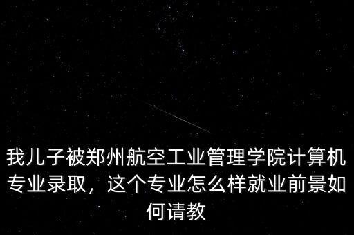我兒子被鄭州航空工業(yè)管理學(xué)院計算機(jī)專業(yè)錄取，這個專業(yè)怎么樣就業(yè)前景如何請教