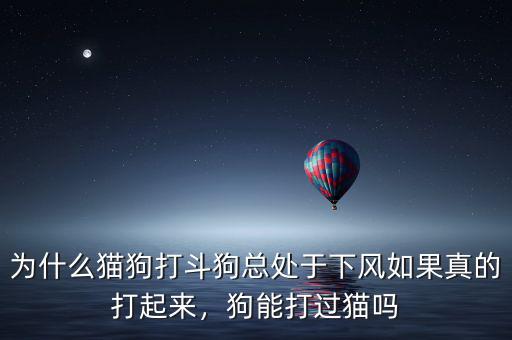 斗狗輸了狗一般怎么辦,為什么貓狗打斗狗總處于下風(fēng)