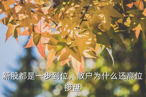 新股都是一步到位，散戶為什么還高位接盤