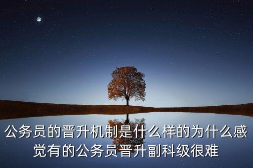 公務員的晉升機制是什么樣的為什么感覺有的公務員晉升副科級很難