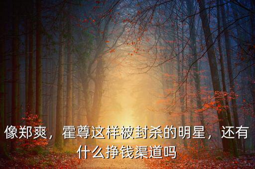像鄭爽，霍尊這樣被封殺的明星，還有什么掙錢渠道嗎