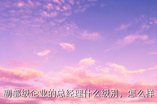 副部級企業(yè)的總經(jīng)理什么級別，怎么樣