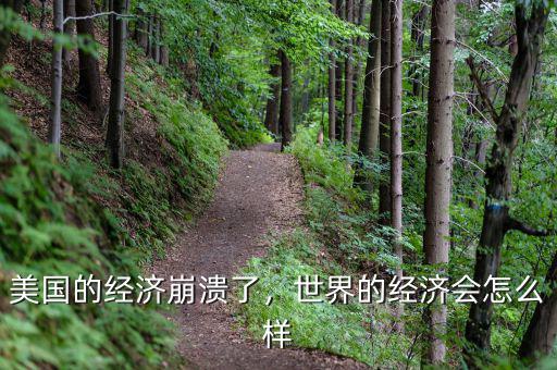 美國的經(jīng)濟崩潰了，世界的經(jīng)濟會怎么樣