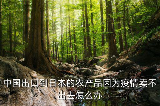 出口什么到日本最好賣,日本房地產暴跌后