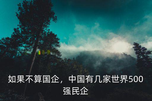 如果不算國(guó)企，中國(guó)有幾家世界500強(qiáng)民企