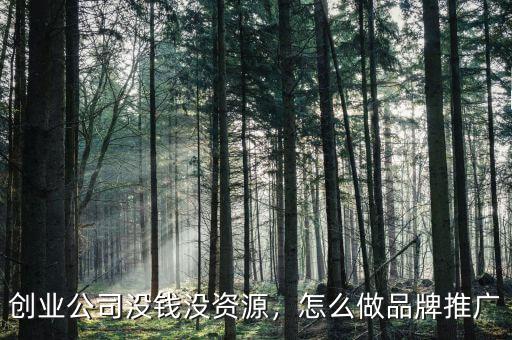 創(chuàng)業(yè)公司沒(méi)錢(qián)了怎么辦,創(chuàng)業(yè)公司拖欠工資怎么辦