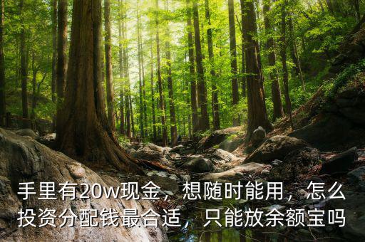 手里有20w現(xiàn)金，想隨時能用，怎么投資分配錢最合適，只能放余額寶嗎