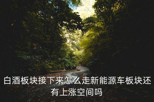 白酒板塊接下來(lái)怎么走新能源車板塊還有上漲空間嗎