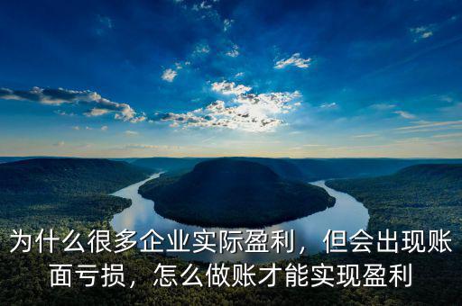 賬面虧損怎么調成盈利,怎么做賬才能實現(xiàn)盈利