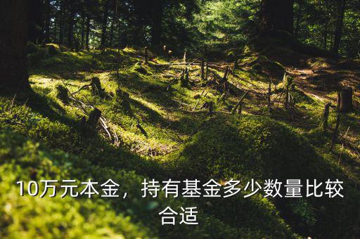 買基金多少合適,持有基金多少數(shù)量比較合適