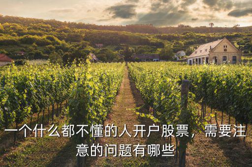 一個什么都不懂的人開戶股票，需要注意的問題有哪些