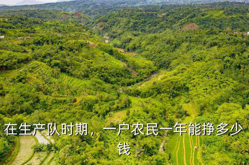 在生產(chǎn)隊(duì)時期，一戶農(nóng)民一年能掙多少錢