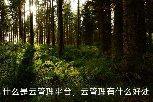 什么是云管理平臺，云管理有什么好處
