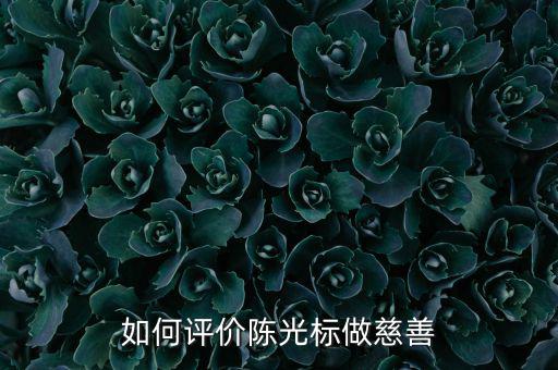 為什么說陳光標(biāo)暴力慈善,陳光標(biāo)是真慈善還是假慈善