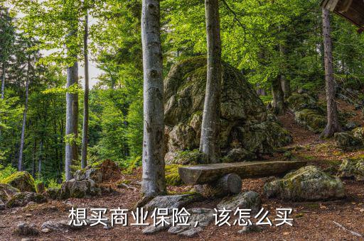 想買商業(yè)保險(xiǎn)，該怎么買