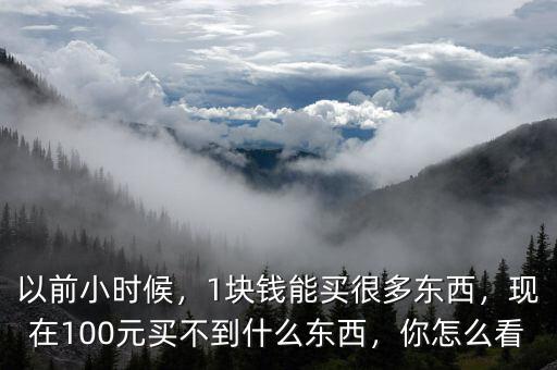以前小時(shí)候，1塊錢能買很多東西，現(xiàn)在100元買不到什么東西，你怎么看