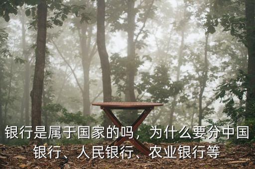 銀行是屬于國(guó)家的嗎，為什么要分中國(guó)銀行、人民銀行、農(nóng)業(yè)銀行等