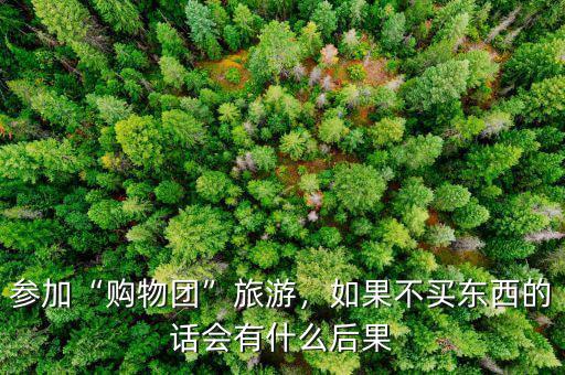 參加“購物團”旅游，如果不買東西的話會有什么后果