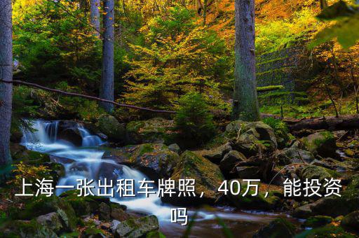 上海一張出租車牌照，40萬，能投資嗎