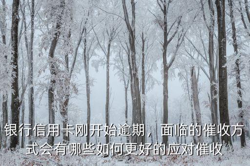 銀行信用卡剛開始逾期，面臨的催收方式會有哪些如何更好的應(yīng)對催收