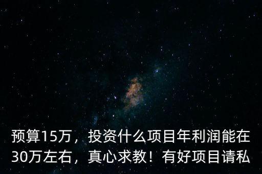 預(yù)算15萬，投資什么項目年利潤能在30萬左右，真心求教！有好項目請私